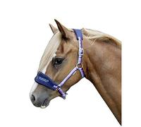 HKM Funny Horses MS Shetty 9224 Horse Halter Stable Halter Field Halter