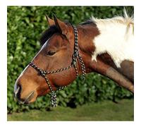 Hkm Halter-13989150.0952 Schwarz/Petrol Pony