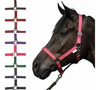 HKM Headcollar Stars Economy Lilac Full