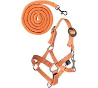 HKM Hobby Horsing Basic Head collar and lead rope Orange One Size