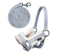 HKM Hobby Horsing Head Collar and Lead Rope