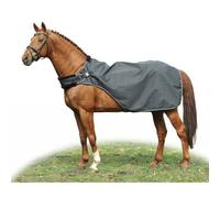 HKM Horse Walker Rug Carvis