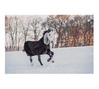 Hkm Innsbruck 1200D 200g Highneck Turnout Rug - 6'0 · Black