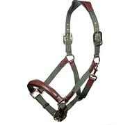 HKM Luna Leather Halter Brown Thoroughbred