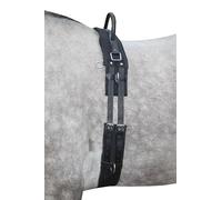 HKM Lunging Girth 1795 Lunging Belt Black Thoroughbred/Warmblood