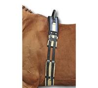 HKM SPORTS EQUIPMENT 17956925.0620 1795 Lunging Belt with Grab Handle, Canvas Pony Shetty VB/WB