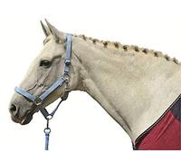 HKM Stars Economy Head collar Yellow Extra Full