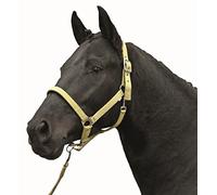HKM Stars Economy Softice Head collar Milky Yellow Pony