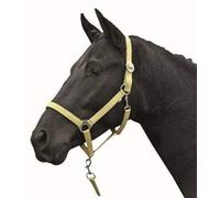 HKM Stars Economy Softice Head collar Milky Yellow Shetland pony