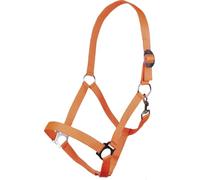 HKM Stars Economy Softice Head collar Neon Orange Pony