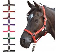 HKM Stars Head collar with soft padding Bright Green Cob