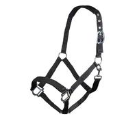 HKM Sydney Style Head collar with soft padding Black Shetland Pony