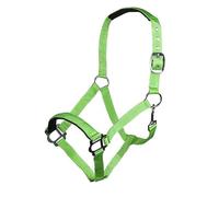 HKM Sydney Style Head collar with soft padding Neon Green Shetland Pony