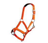 HKM Sydney Style Head collar with soft padding Neon Orange Shetland Pony