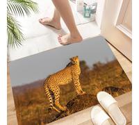 HKPOEQ Non Slip Bath Mat Machine Washable Durable Soft Fluffy Microfiber Bathroom Mat Water Absorbent Bath Rug,Safari, African Wild Animal Cheetah standing on the termite mound,24x36 in