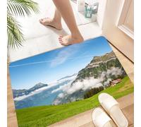 HKPOEQ Non Slip Bath Mat Machine Washable Durable Soft Fluffy Microfiber Bathroom Mat Water Absorbent Bath Rug,In the mountains from Switzerland with a view at the lake Lucerne,24x36 in