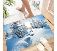 HKPOEQ Non Slip Bath Mat Machine Washable Durable Soft Fluffy Microfiber Bathroom Mat Water Absorbent Bath Rug,beautiful winter landscape with the forest and blue sky,24x36 in
