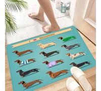 HKPOEQ Non Slip Bath Mat Machine Washable Durable Soft Fluffy Microfiber Bathroom Mat Water Absorbent Bath Rug,Array of cute dachshund dogs in various styles under 'i dachshund' banner, o,16x24 in