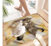 HKPOEQ Non Slip Bath Mat Machine Washable Durable Soft Fluffy Microfiber Bathroom Mat Water Absorbent Bath Rug,Funny,Kitten Siblings Lying Beside Sleepy Heads Cat Pe,24x36 in
