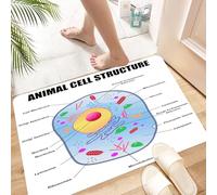 HKPOEQ Non Slip Bath Mat Machine Washable Durable Soft Fluffy Microfiber Bathroom Mat Water Absorbent Bath Rug,Educational, Microbiology Theme Animal cell structure,16x24 in