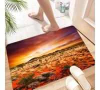 HKPOEQ Non Slip Bath Mat Machine Washable Durable Soft Fluffy Microfiber Bathroom Mat Water Absorbent Bath Rug,Sunset over a central Australian landscape,16x24 in