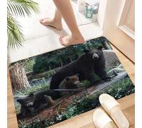 HKPOEQ Non Slip Bath Mat Machine Washable Durable Soft Fluffy Microfiber Bathroom Mat Water Absorbent Bath Rug,Alaskan brown bear sow along the bank of the Brooks River with her two cubs pl,16x24 in