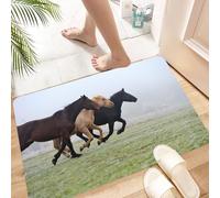 HKPOEQ Non Slip Bath Mat Machine Washable Durable Soft Fluffy Microfiber Bathroom Mat Water Absorbent Bath Rug,Horses, few Racehorses on the grass in the foggy Force Day,24x36 in