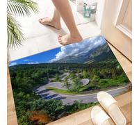 HKPOEQ Non Slip Bath Mat Machine Washable Durable Soft Fluffy Microfiber Bathroom Mat Water Absorbent Bath Rug,Outdoor, natural view of the Maloja Pass. Alps Switzerland Europe Mountains Fo,24x36 in