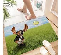 HKPOEQ Non Slip Bath Mat Machine Washable Durable Soft Fluffy Microfiber Bathroom Mat Water Absorbent Bath Rug,dog, basset hound, yard, chase, tennis,16x24 in