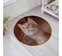 HKPOEQ Non Slip Bath Mat Machine Washable Durable Soft Fluffy Microfiber Bathroom Mat Water Absorbent Bath Rug,Animal, an angel kitten with wings and halo, looking at the sky,31x31 in