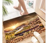 HKPOEQ Non Slip Bath Mat Machine Washable Durable Soft Fluffy Microfiber Bathroom Mat Water Absorbent Bath Rug,Glenfinnan Railway Viaduct in Scotland with the Jacobite steam train against s,24x36 in