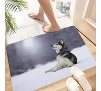 HKPOEQ Non Slip Bath Mat Machine Washable Durable Soft Fluffy Microfiber Bathroom Mat Water Absorbent Bath Rug,Dog Siberian Husky Lies On Snow Animals Fauna Pet Wolf,16x24 in