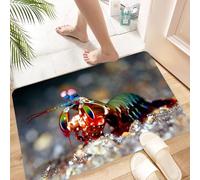 HKPOEQ Non Slip Bath Mat Machine Washable Durable Soft Fluffy Microfiber Bathroom Mat Water Absorbent Bath Rug,Mantis shrimp, portrait of colorful mantis shrimp on the beach in the deep sea,24x36 in