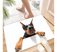 HKPOEQ Non Slip Bath Mat Machine Washable Durable Soft Fluffy Microfiber Bathroom Mat Water Absorbent Bath Rug,go to you. Close up portrait of climbing doberman pinscher on isolated white b,16x24 in