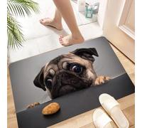 HKPOEQ Non Slip Bath Mat Machine Washable Durable Soft Fluffy Microfiber Bathroom Mat Water Absorbent Bath Rug,animal，Cute sad pug looks at a cookie,16x24 in