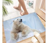 HKPOEQ Non Slip Bath Mat Machine Washable Durable Soft Fluffy Microfiber Bathroom Mat Water Absorbent Bath Rug,Zoo, Portrait Of Big White Polar Bear On Ice Claws. Antarctica North. Outdoors,16x24 in