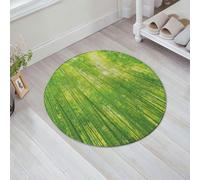 HKPOEQ Non Slip Bath Mat Machine Washable Durable Soft Fluffy Microfiber Bathroom Mat Water Absorbent Bath Rug,Bamboo forest, green, fresh, emerald green among the trees, sunlight, light an,31x31 in