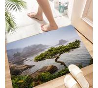 HKPOEQ Non Slip Bath Mat Machine Washable Durable Soft Fluffy Microfiber Bathroom Mat Water Absorbent Bath Rug,The coastal vegetation scenery shrouded in mist,16x24 in