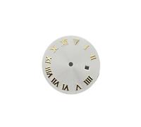 HKVTVCYPYA No Logo 24.2mm Watch Dial Mechanical BGW9 Luminous Compatible For NH05 NH06 Modification Parts For 31mm Case(Gold-White)