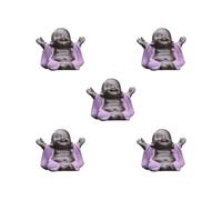HKWFKAWA 5 set Little Ceramic Smiling Maitreya Happy Buddha Statue Figurine Ornaments F Type F