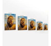 HKXXMTQMM Animal Oil Painting - Majestic Lion in Golden Savannah- A Regal Portrait of The King of Beasts with Sunlit Mane Contemporary Hanging Wall Art - Decorative Mural Design16x24inch(40x60cm)