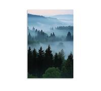 HKXXMTQMM Landscape - Misty Morning in The Bavarian Forest Contemporary Hanging Wall Art - Decorative Mural Design08x12inch(20x30cm)