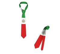 HLBSDM Iran Flag Sun Lion 1907-1925 Necktie Patriotic Pride Ties For Men Formal Business Graduation