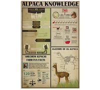 HLBSDM Learn About Alpaca Infographics Metal Tin Signs Alpaca Knowledge Posters Animal Encyclopedia Plaques Art Office Den Club Wall Art Decor 8x12 Inches
