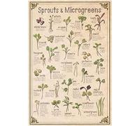 HLBSDM Sprouting Vegetables Metal Signs Wall Decor Sprouts & Microgreens Infographics Posters Retro Farm Farmhouse Plaque Decoration Farmers Market Home Kitchen 8x12 Inch