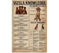 HLBSDM Vizsla Knowledge Metal Tin Signs Vintage The Anatomy Of A Vizsla Posters Club Cafe Bar Living Room Home Wall Decor 12x16 inch