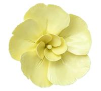 HLHLH Handcrafted Ceramic Flowers Yellow Phalaenopsis Orchid Artificial Sculpture Home Hanging 3D Wall Art Decor Decoration(3.5 inch(9cm))