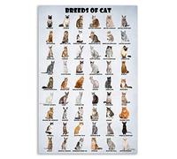 HLLNWB Breeds and Types of Cat Poster - World Cats Funny Lovers Wall Art (Unframed 16x24inch)