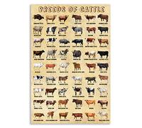 HLLNWB Breeds of Cattle Poster Animal Canvas Farmhouse Highland Cow Poster Texas Longhorn Cow Wall Art Poster (Unframed 16x24inch)