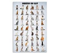 HLLNWB's Breeds and Types of Cat Poster from Around the World - Funny Cat Lovers Print (Unframed, 12x18inch)